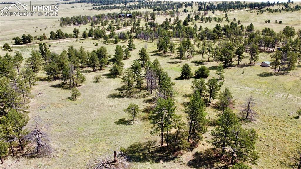 32041 Cattle Cir., Ramah, CO 80832