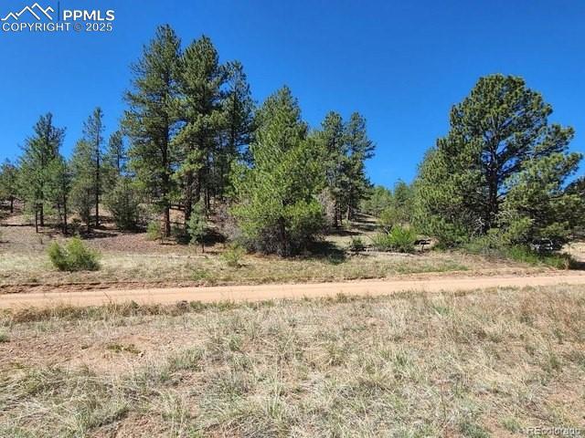 1385 Tumbleweed Rd., Cotopaxi, CO 81223