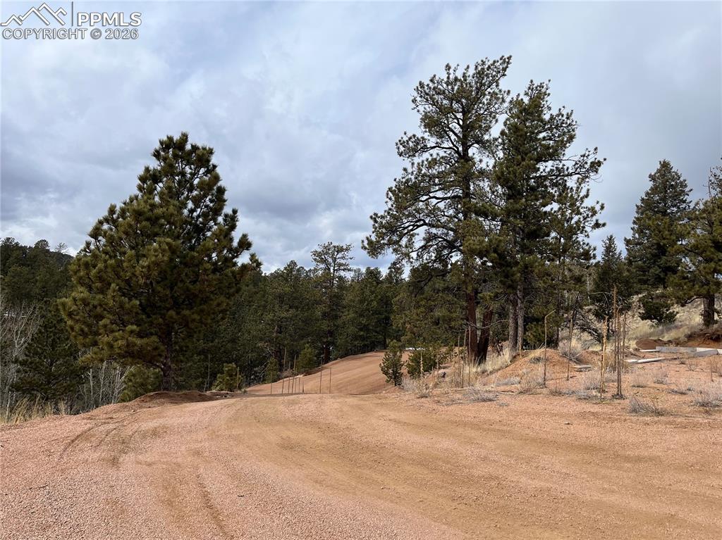 351 Dandy Jim Dr., Cripple Creek, CO 80813