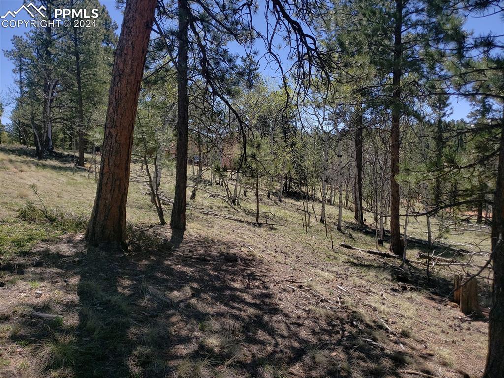 69 Lake Cir., Divide, CO 80814