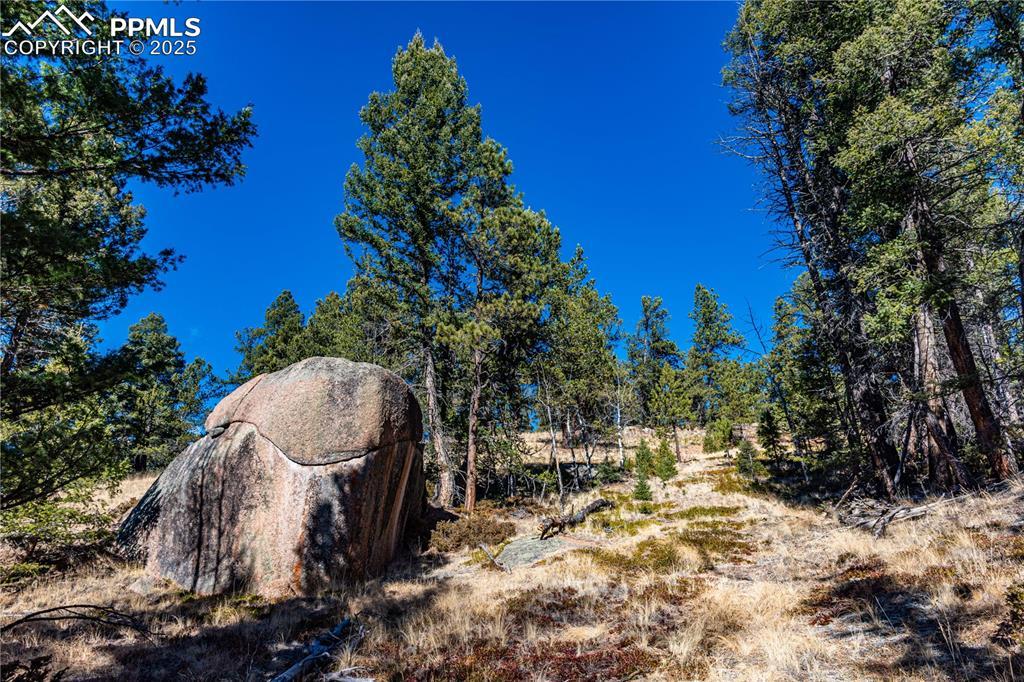 TBD Arrowhead Rd., Florissant, CO 80816