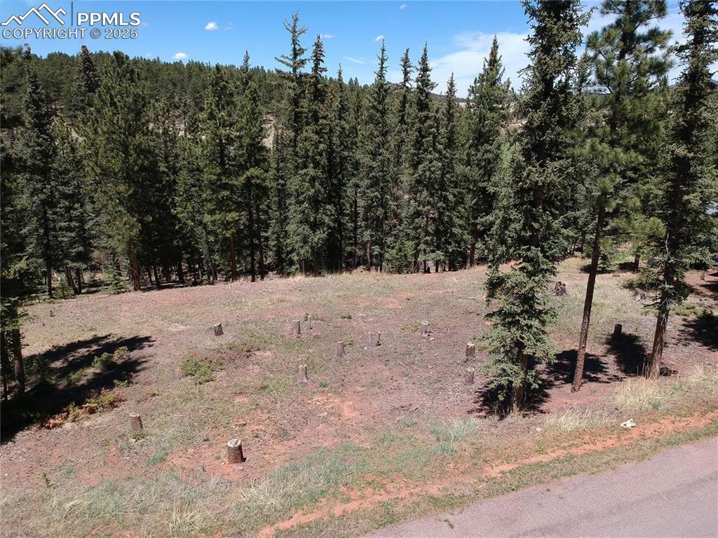 220 Iron Eagle Point, Woodland Park, CO 80863