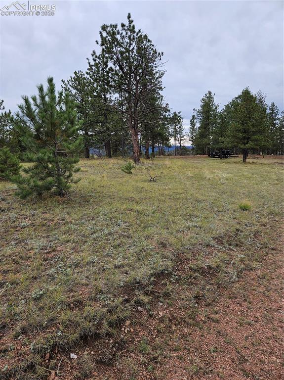 208 Eaglecrest Dr., Florissant, CO 80816