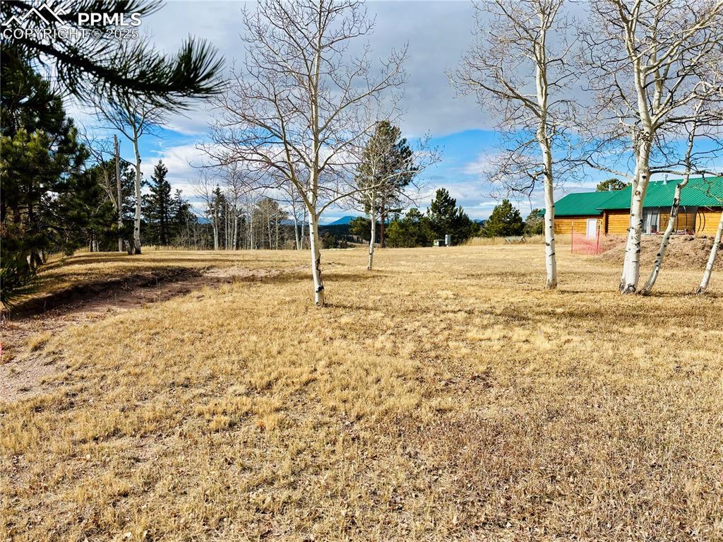 799 Elfin Glen Dr., Divide, CO 80814