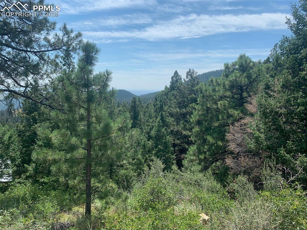 3435 Little Turkey Creek Rd., Colorado Springs, CO 80926