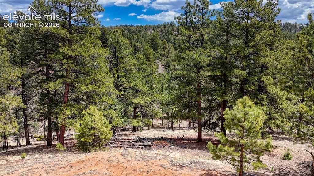 16 View Cir., Florissant, CO 80816