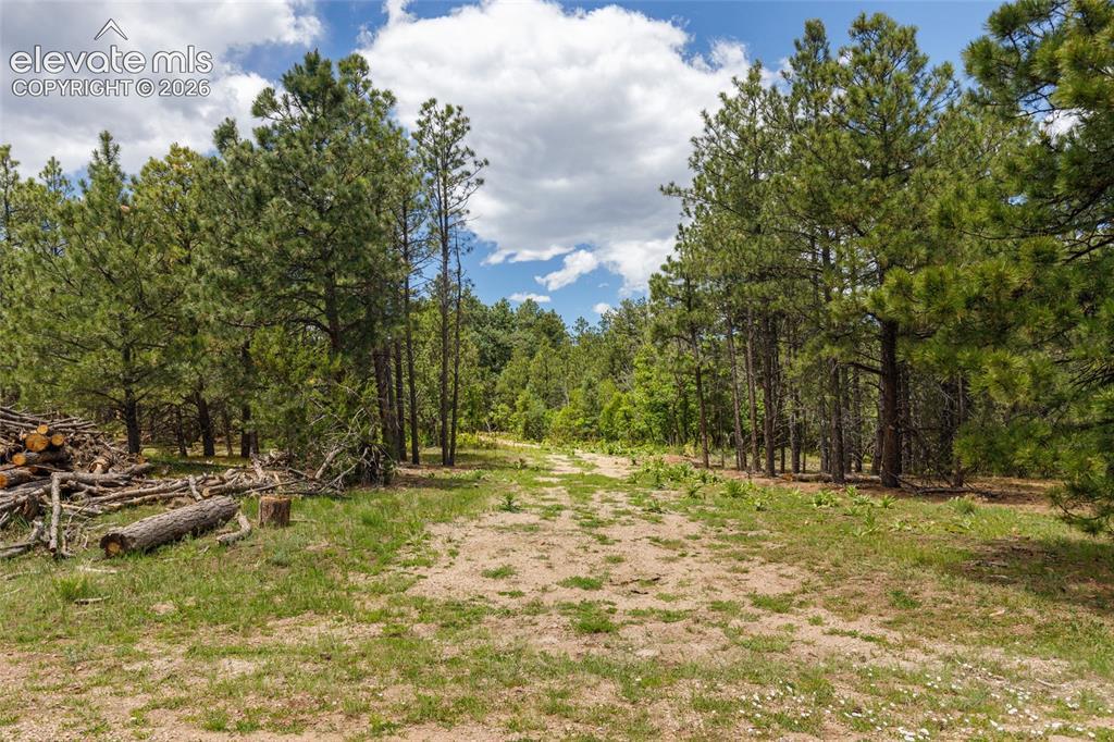 8719 Ponderosa Pine Dr., Beulah, CO 81023