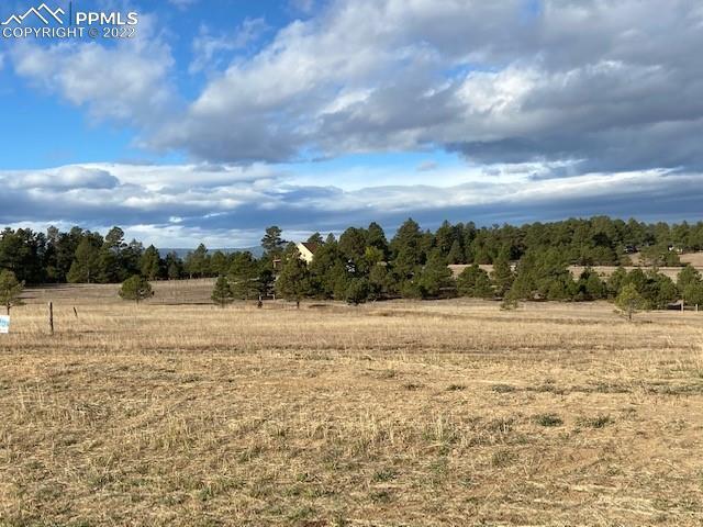 3286 Bark Tree Tr., Colorado Springs, CO 80921