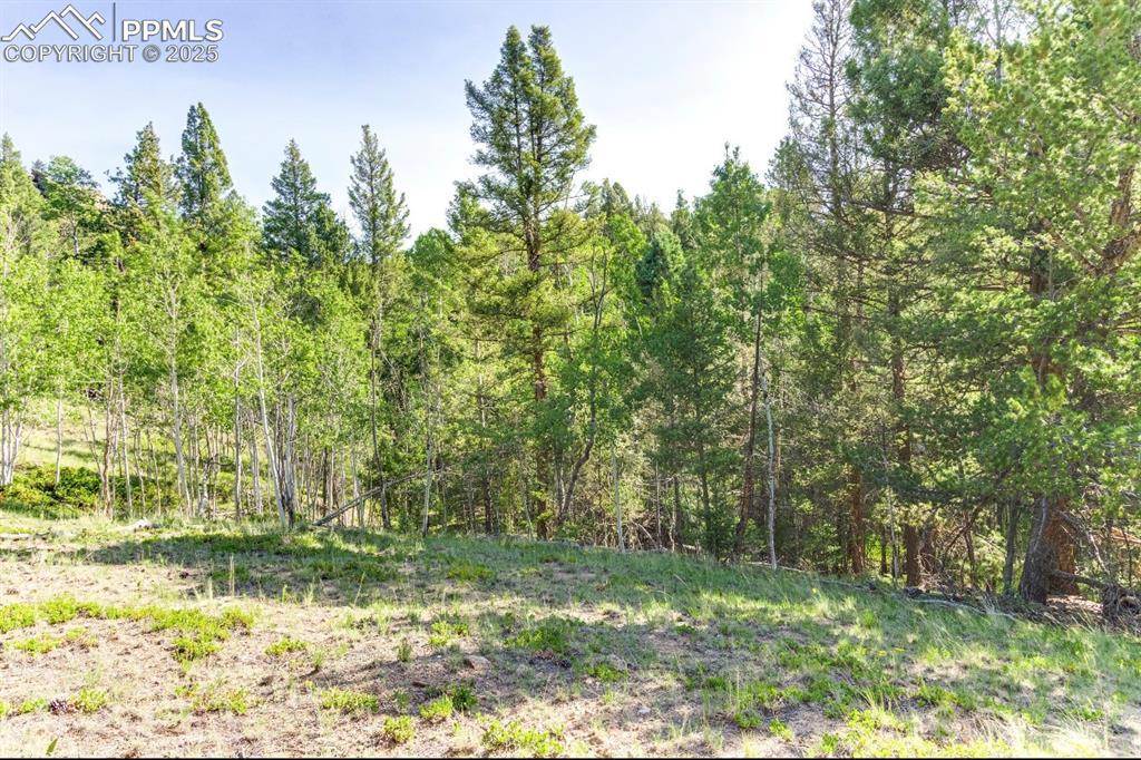 183 Cheyenne Tr., Lake George, CO 80827