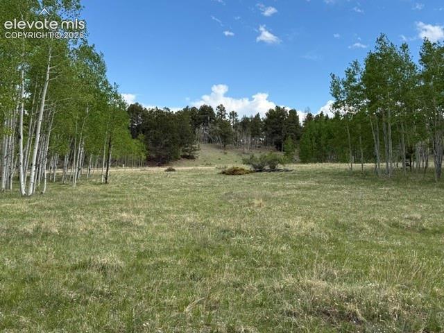 417 Aspen Way Dr., Florissant, CO 80816