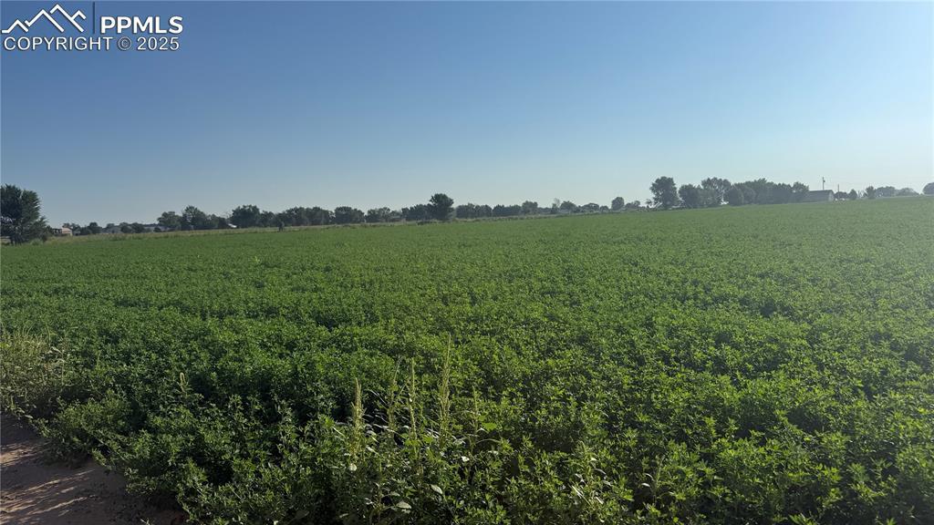 Lot C Manning Rd., Pueblo, CO 81006