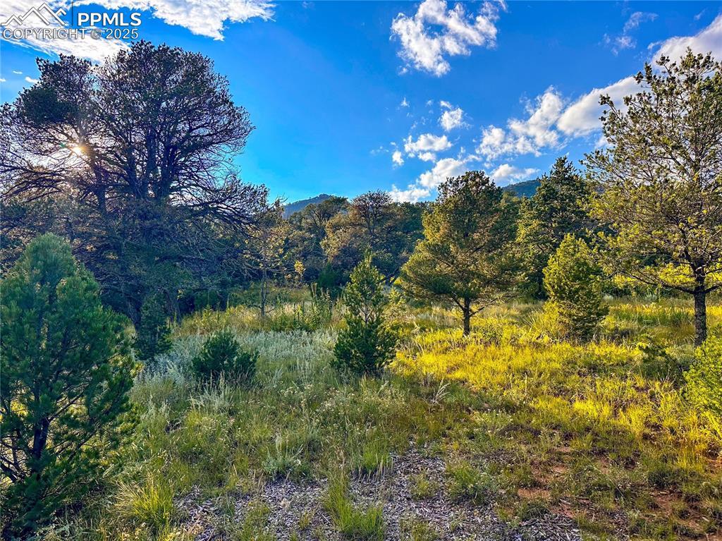 16116 Cala Rojo Dr., Colorado Springs, CO 80926