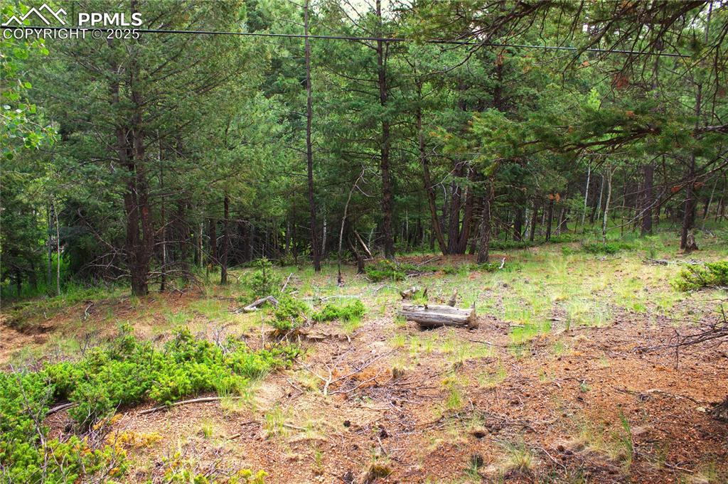 123 Ellis Lake Cir., Divide, CO 80814