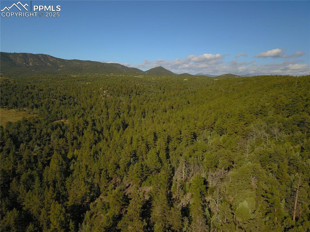 19S Old Crow Path, Canon City, CO 81212