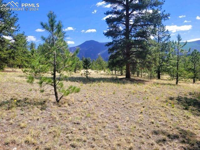 County Road 31, Tarryall, CO 80827