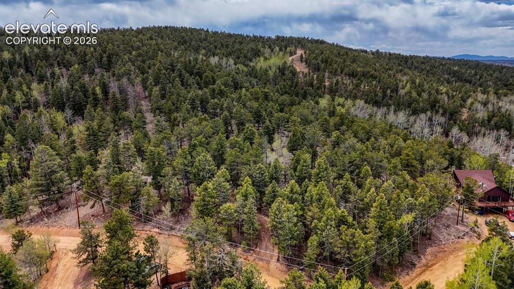 259 Potlatch Tr., Woodland Park, CO 80863