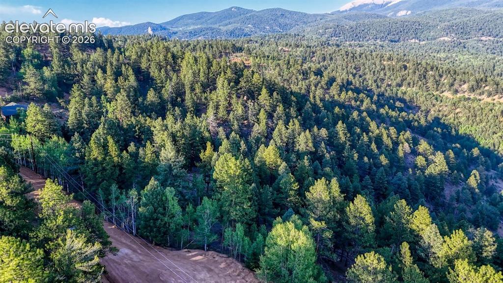 364 Blue Spruce Rd., Divide, CO 80814