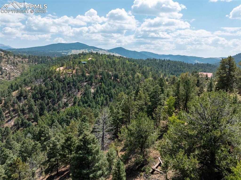 1151 Dandy Jim Dr., Cripple Creek, CO 80813