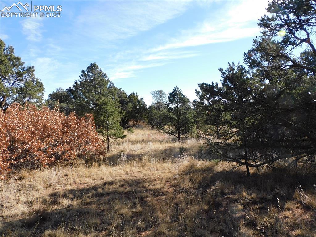 16116 Cala Rojo Dr., Colorado Springs, CO 80926