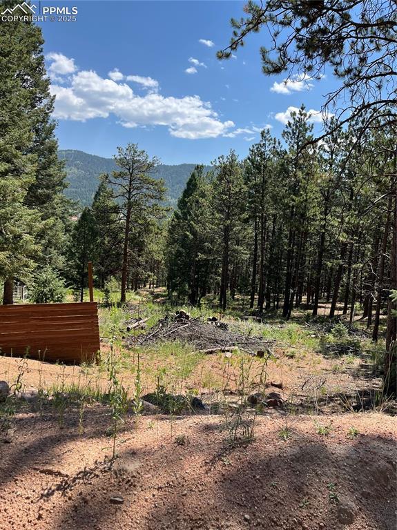 193 Summer Haven Dr., Woodland Park, CO 80863