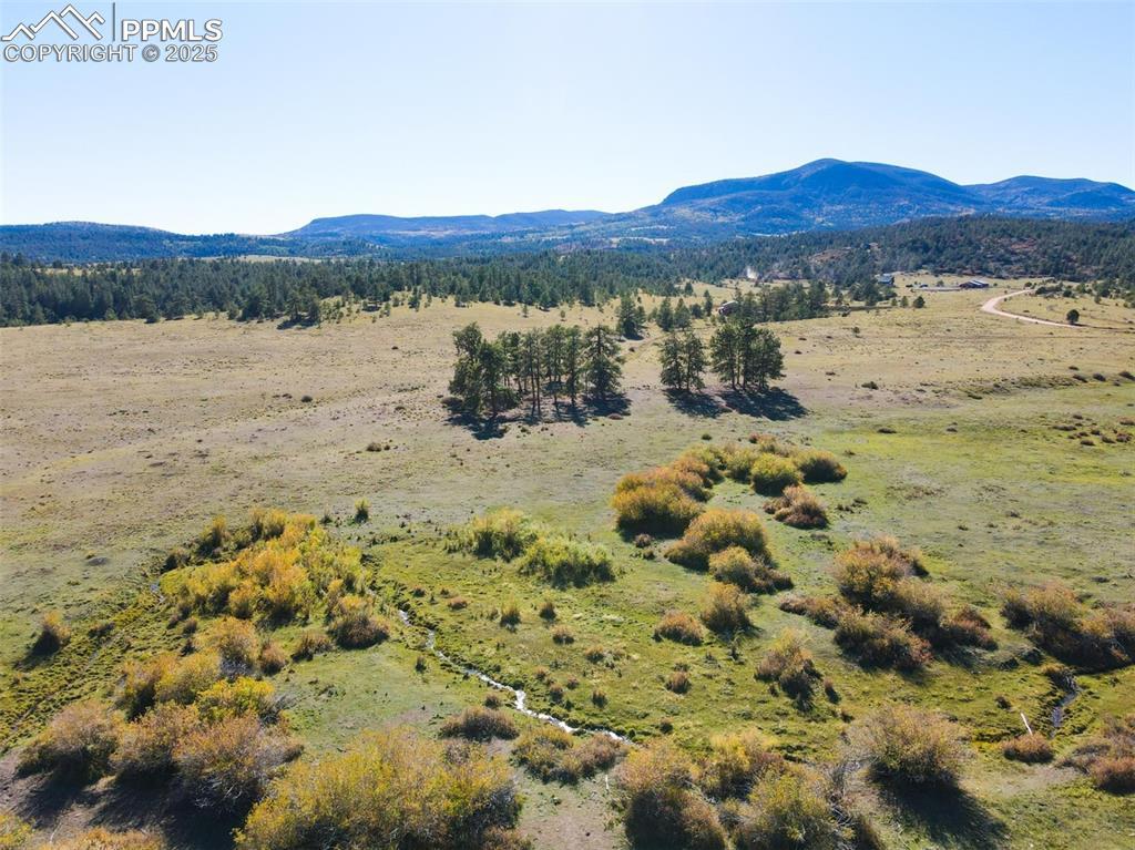 Rosebush Rd., Canon City, CO 81212