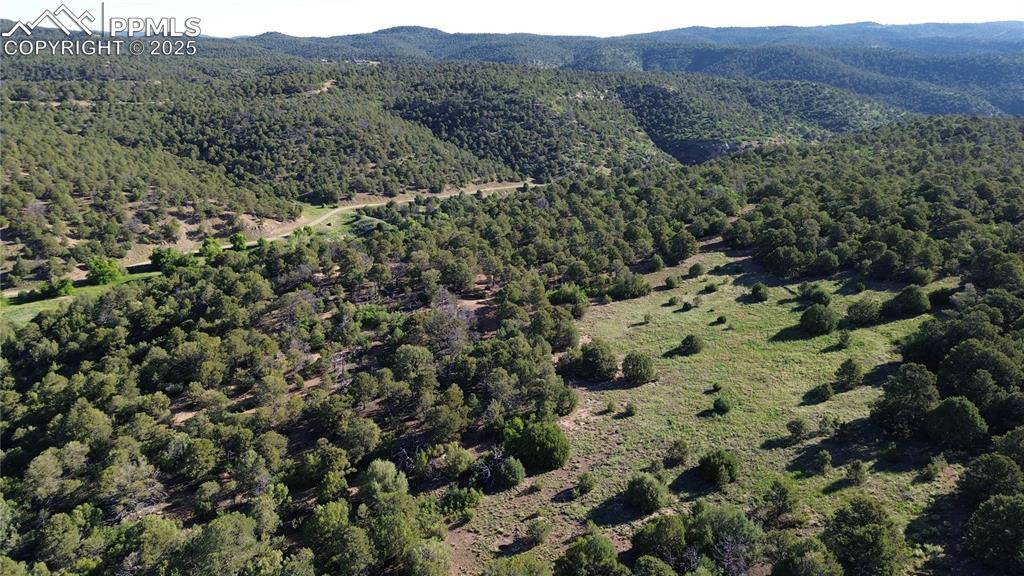 16198 Picketwire Rd., Boncarbo, CO 81024