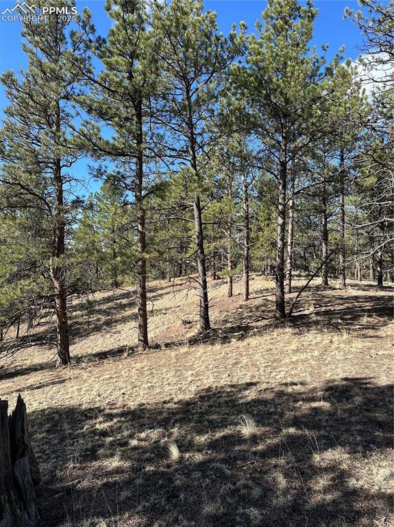 589 Midnight Ln., Florissant, CO 80816