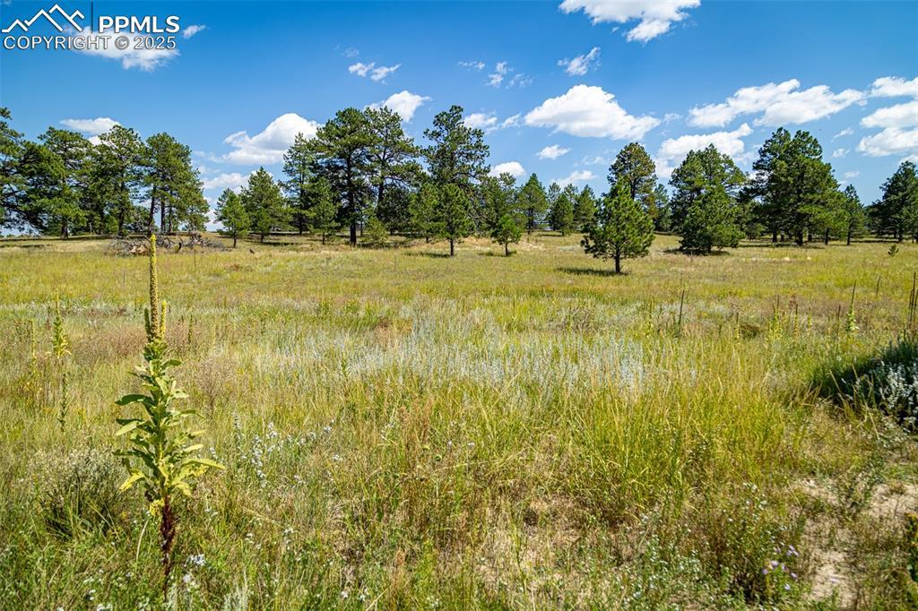 16759 Winsome Way, Colorado Springs, CO 80908