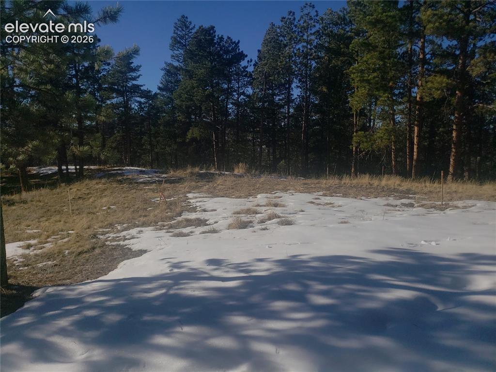 206 Eagles Perch Pl., Woodland Park, CO 80863