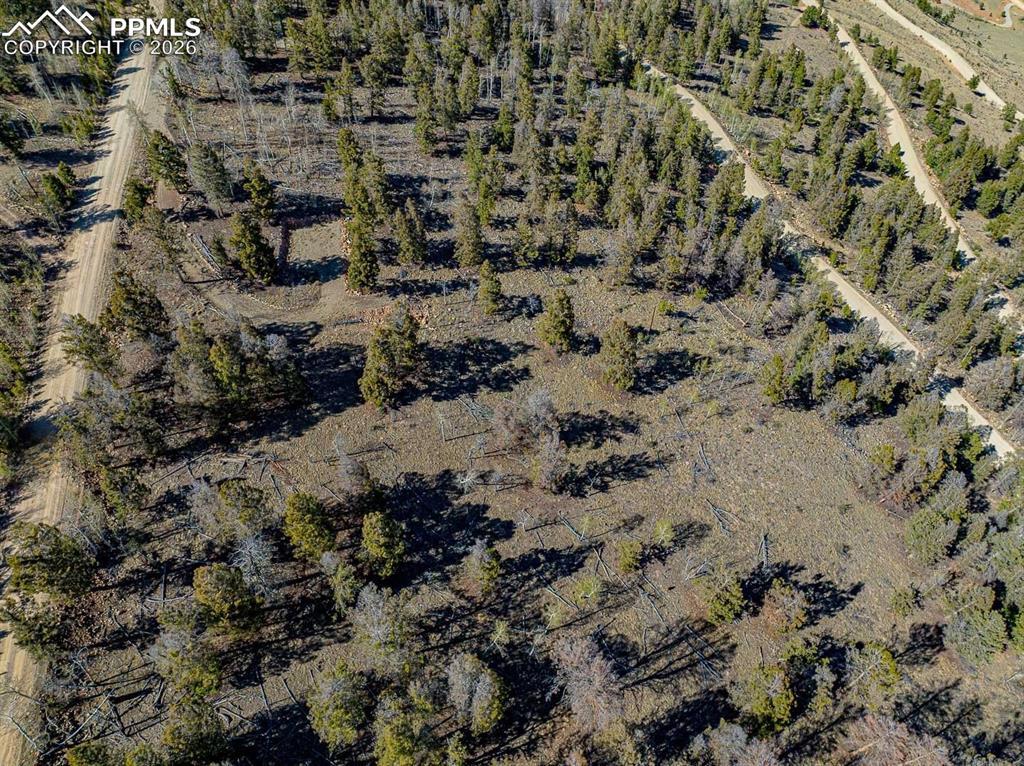 5302 Middle Fork Vista, Fairplay, CO 80440