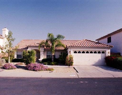 Ocotillo