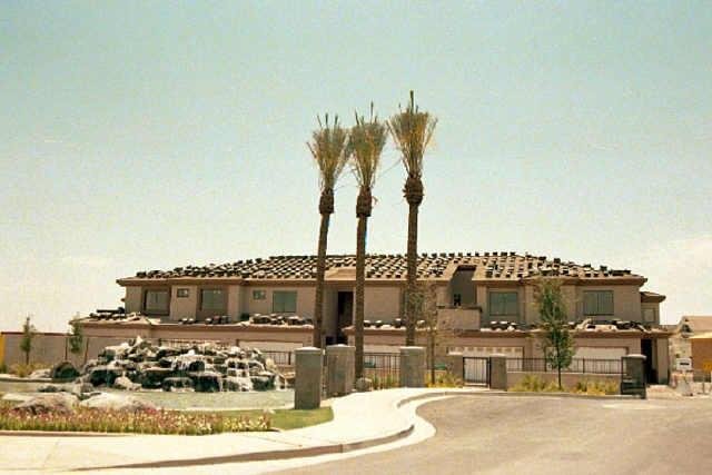 Agave