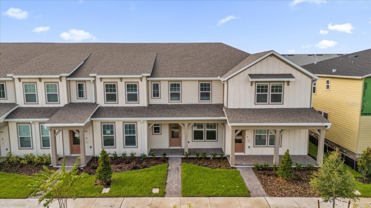 Orchid