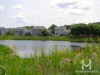 Liberty Lakes neighborhood in Wauconda, IL