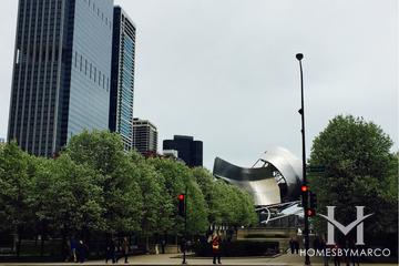 Loop neighborhood in Chicago, IL