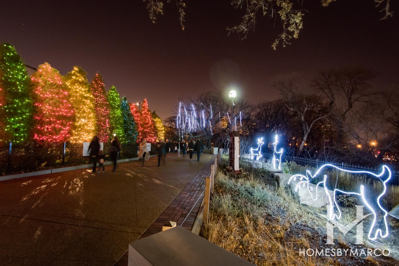 Celebrate the season with Lincoln Park Zoolights in Chicago, IL