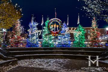 Arlington Heights Annual Tree Lighting