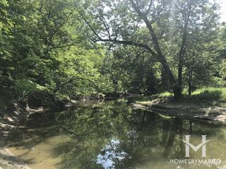 Sidney Yates Flatwoods Forest Preserve in Niles, IL