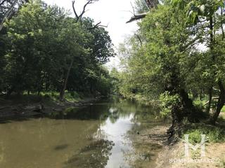 Sidney Yates Flatwoods Forest Preserve in Niles, IL