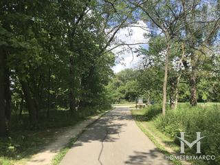 Sidney Yates Flatwoods Forest Preserve in Niles, IL