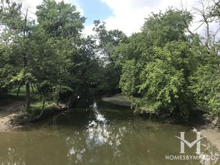 Bunker Hill Forest Preserve in Niles, IL