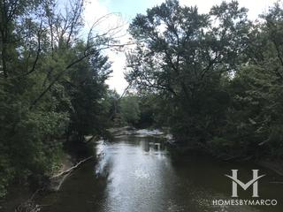 Bunker Hill Forest Preserve in Niles, IL