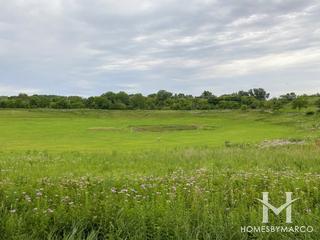 Techny Prairie Park in Northbrook, IL
