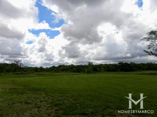 Dick Young Forest Preserve in Batavia, IL