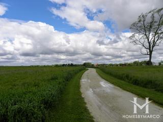 Dick Young Forest Preserve in Batavia, IL