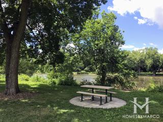 Violet Patch Park in Oswego, IL