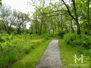 Les Arends Forest Preserve in Batavia, IL
