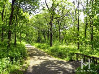 Les Arends Forest Preserve in Batavia, IL