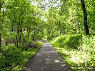 Les Arends Forest Preserve in Batavia, IL