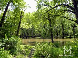 Les Arends Forest Preserve in Batavia, IL